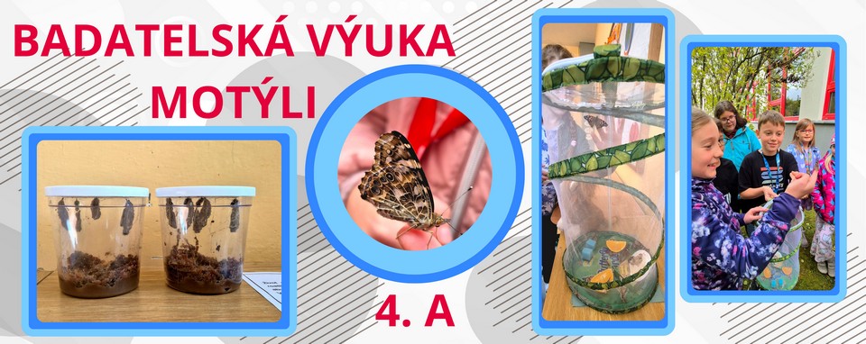 Vinaora Nivo Slider 3.x